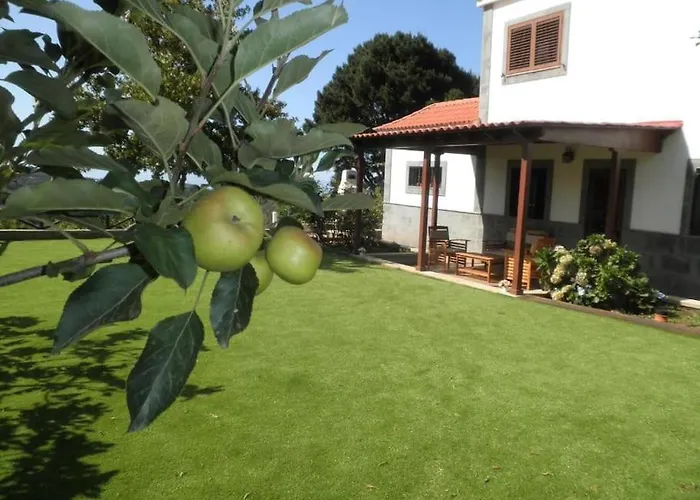 فيلة Arrebol Azul Valleseco