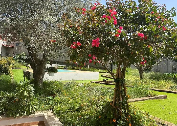 فيلة Arrebol Azul *